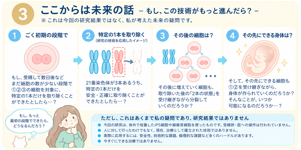 ごく初期の段階で21番染色体を3本から2本にできたら、その後の細胞はどうなるのかという筆者の未来の疑問を示す図解。今回の研究結果ではない